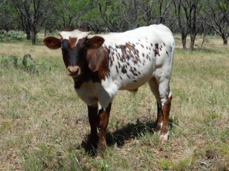 Brett Ranch